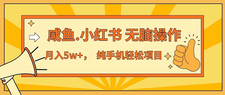 （11524期）2024最赚钱的项目，咸鱼，小红书无脑操作，每单利润500+，轻松月入5万+…-网创项目