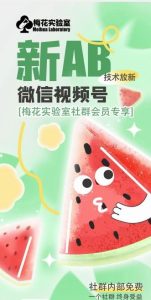 梅花实验室2024年AB技术视频号AB合成破解版-网创项目