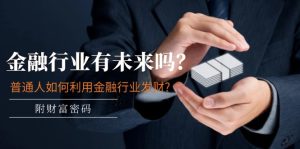 公众号付费文章:金融行业有未来吗?普通人如何利用金融行业发财?(附财富密码)-网创项目