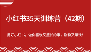 小红书35天训练营(42期)-用好小红书,做你喜欢又擅长的事,涨粉又赚钱!-网创项目