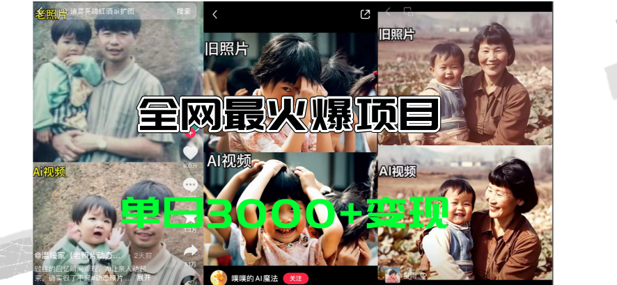 （11546期）全网爆火的AI让老照片动起来教程，蹭热点日赚3000+，内含免费工具一键…-网创项目