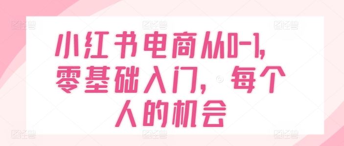 小红书电商从0-1，零基础入门，每个人的机会-网创项目