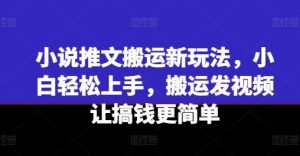 小说推文搬运新玩法，小白轻松上手，搬运发视频让搞钱更简单-网创项目