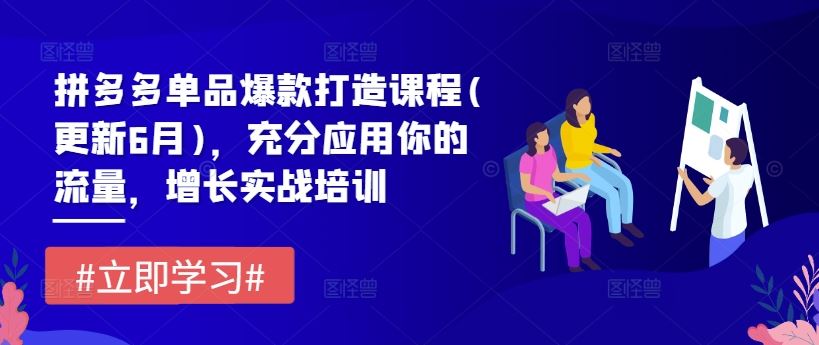 拼多多单品爆款打造课程(更新6月)，充分应用你的流量，增长实战培训-网创项目