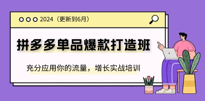 （11556期）2024拼多多-单品爆款打造班(更新6月)，充分应用你的流量，增长实战培训-网创项目