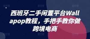 西班牙二手闲置平台Wallapop教程，手把手教你做跨境电商-网创项目