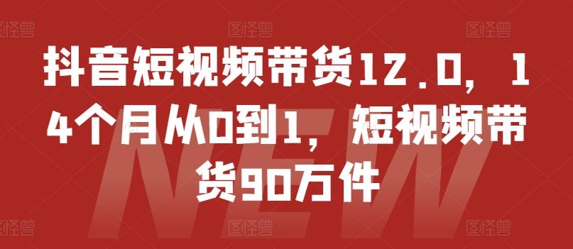 抖音短视频带货12.0，14个月从0到1，短视频带货90万件-网创项目