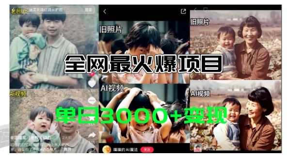全网爆火的AI让老照片动起来教程，蹭热点日赚3k+，内含免费工具一键可生成【揭秘】-网创项目