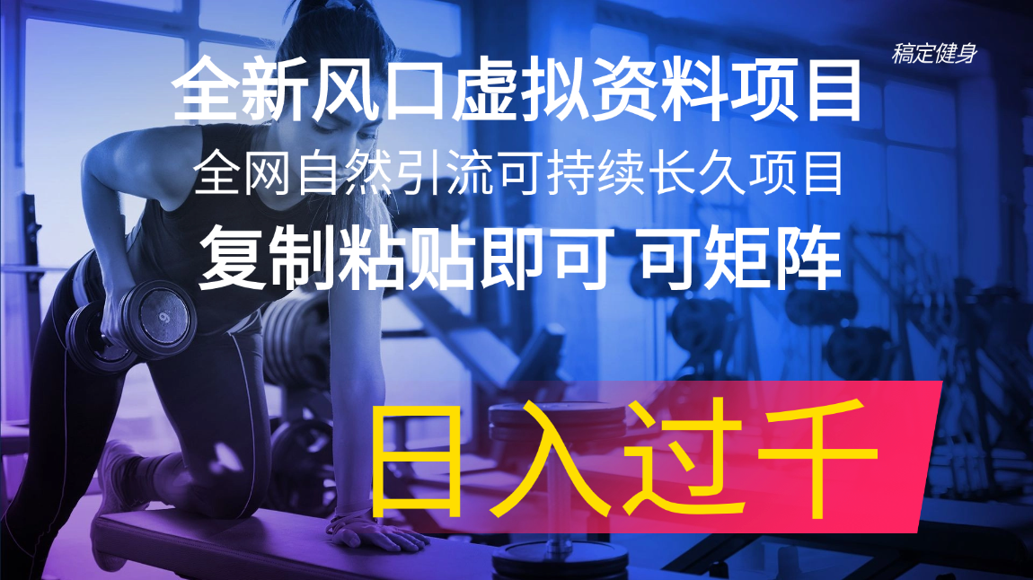 （11587期）全新风口虚拟资料项目 全网自然引流可持续长久项目 复制粘贴即可可矩阵…-网创项目