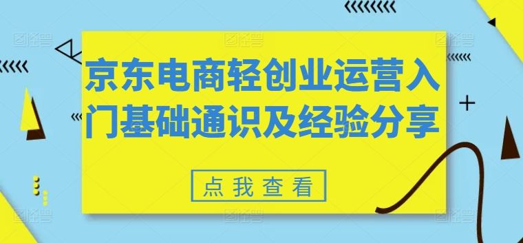 京东电商轻创业运营入门基础通识及经验分享-网创项目