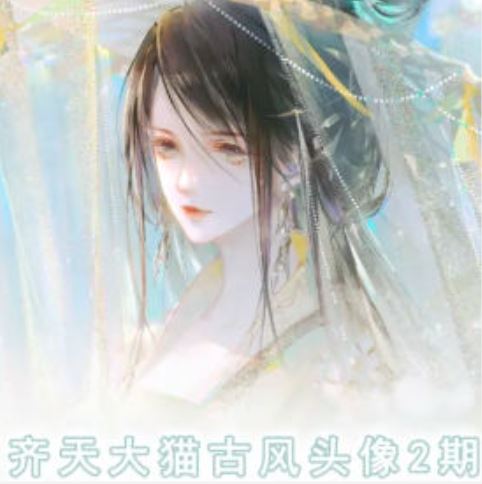 齐天大猫古风头像课第2期，帮助您提高您的绘画技能-网创项目