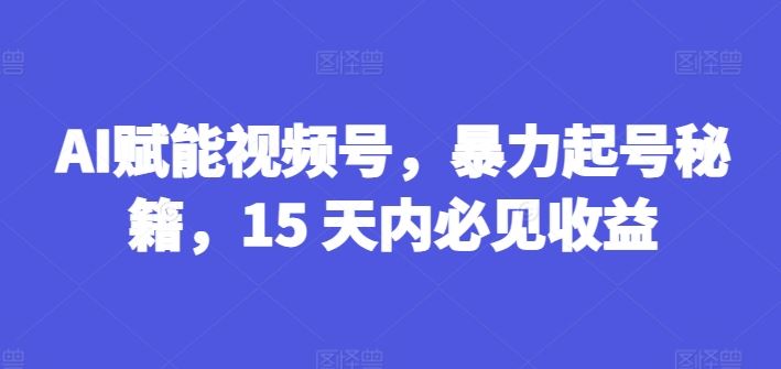AI赋能视频号，暴力起号秘籍，15 天内必见收益【揭秘】-网创项目