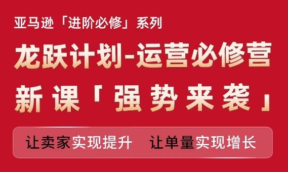 亚马逊进阶必修系列，龙跃计划-运营必修营新课，让卖家实现提升 让单量实现增长-网创项目