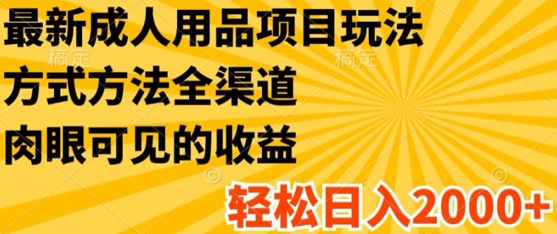 最新成人用品项目玩法，方式方法全渠道，轻松日入2K+【揭秘】-网创项目