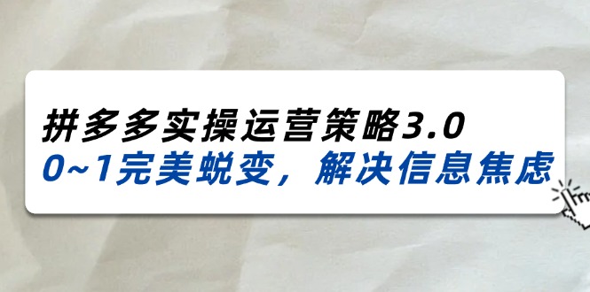 （11658期）2024_2025拼多多实操运营策略3.0，0~1完美蜕变，解决信息焦虑（38节）-网创项目