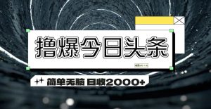 （11665期）撸爆今日头条 简单无脑操作 日收2000+-网创项目