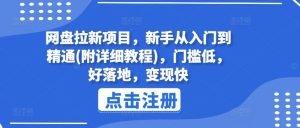 网盘拉新项目，新手从入门到精通(附详细教程)，门槛低，好落地，变现快-网创项目