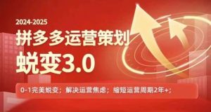 2024-2025拼多多运营策略蜕变3.0，0~1完美蜕变，解决信息焦虑-网创项目