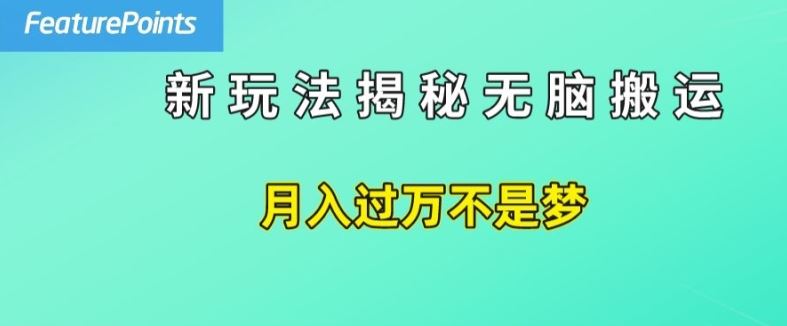 简单操作，每天50美元收入，搬运就是赚钱的秘诀【揭秘】-网创项目