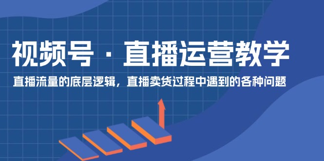 （11687期）视频号 直播运营教学：直播流量的底层逻辑，直播卖货过程中遇到的各种问题-网创项目