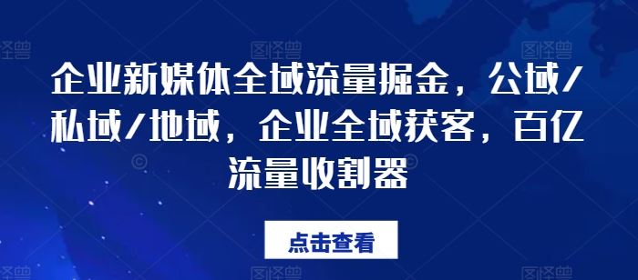 企业新媒体全域流量掘金，公域/私域/地域，企业全域获客，百亿流量收割器-网创项目