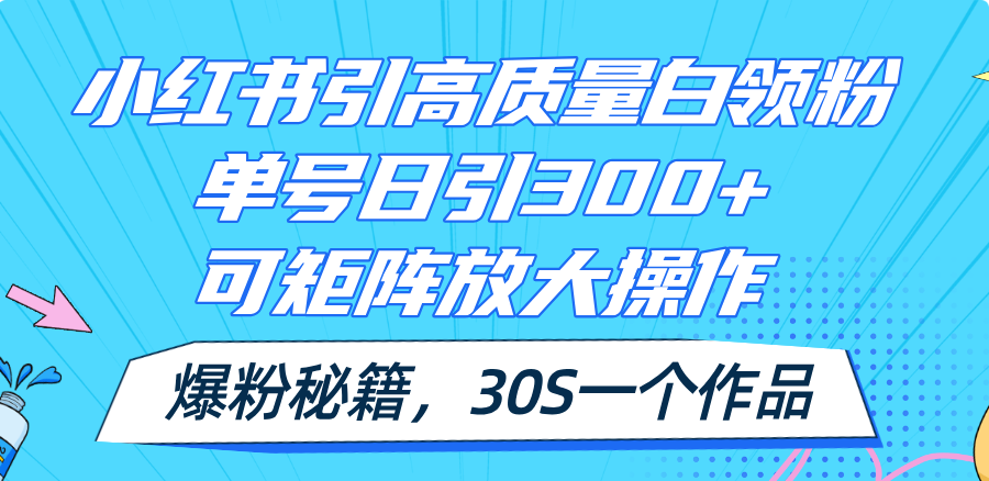 （11692期）小红书引高质量白领粉，单号日引300+，可放大操作，爆粉秘籍！30s一个作品-网创项目