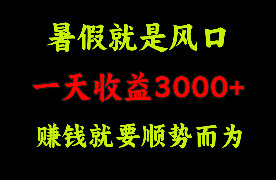 （11670期）一天收益3000+ 赚钱就是顺势而为，暑假就是风口-网创项目