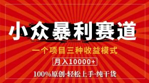（11695期）视频号【中老年粉深信不疑】小众赛道 100%原创 手把手教学 新号3天收益…-网创项目