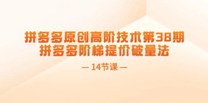（11704期）拼多多原创高阶技术第38期，拼多多阶梯提价破量法（14节课）-网创项目