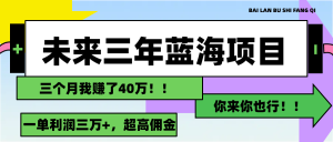 （11716期）未来三年，蓝海赛道，月入3万+-网创项目