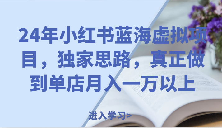 24年小红书蓝海虚拟项目，独家思路，真正做到单店月入一万以上。-网创项目