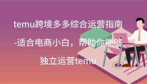 temu跨境多多综合运营指南-适合电商小白，帮助你能够独立运营temu(44节)-网创项目