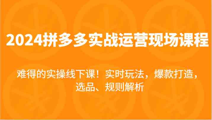 2024拼多多实战运营现场课，实时玩法，爆款打造，选品、规则解析，难得的实操线下课！-网创项目