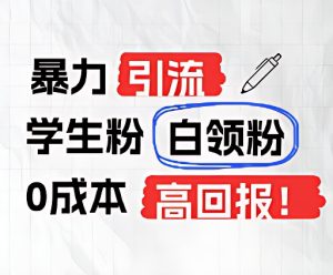 暴力引流学生粉白领粉，吊打以往垃圾玩法，0成本，高回报-网创项目