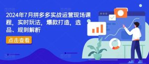 2024年7月拼多多实战运营现场课程,实时玩法,爆款打造,选品、规则解析-网创项目