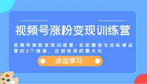 视频号涨粉变现训练营-实现微信生态私域运营的3个维度，达到变现的最大化-网创项目