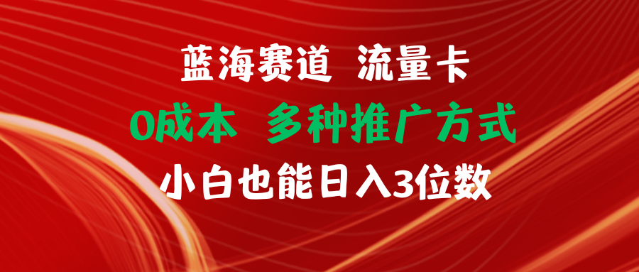 （11768期）蓝海赛道 流量卡 0成本 小白也能日入三位数-网创项目