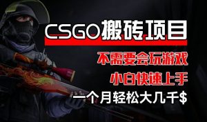 CSGO 装备搬砖项目，操作简单，不需要会玩游戏，小白也能快速上手，一个月轻松大几千【揭秘】-网创项目