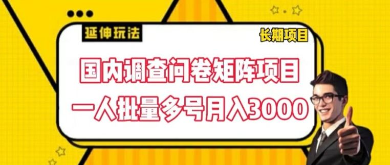 国内调查问卷矩阵项目，一人批量多号月入3000【揭秘】-网创项目