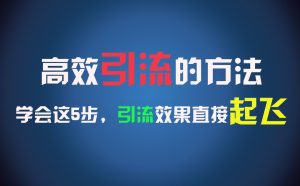 高效引流的方法,可以帮助你日引300+创业粉,一年轻松收入30万,比打工强太多!-网创项目