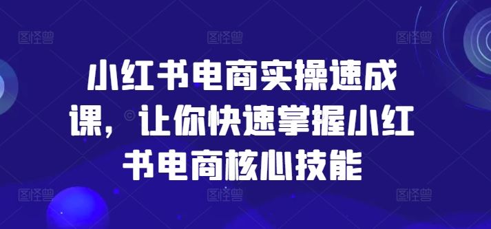 小红书电商实操速成课，让你快速掌握小红书电商核心技能-网创项目