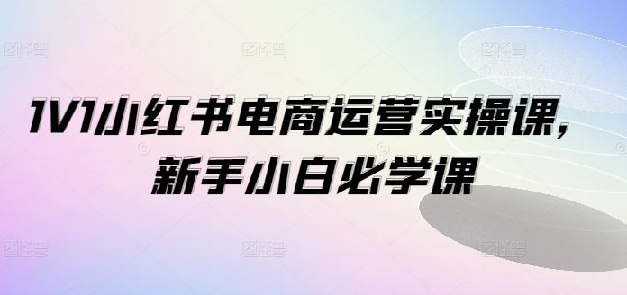 1V1小红书电商运营实操课，新手小白必学课-网创项目