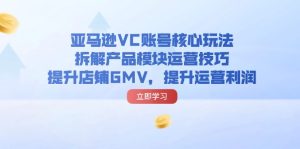 (11848期)亚马逊VC账号核心玩法,拆解产品模块运营技巧,提升店铺GMV,提升运营利润-网创项目