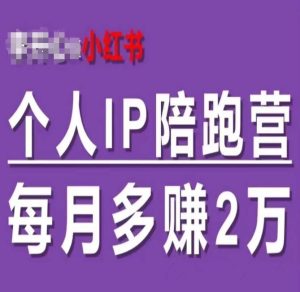 小红书个人IP陪跑营，60天拥有自动转化成交的双渠道个人IP，每月多赚2w-网创项目