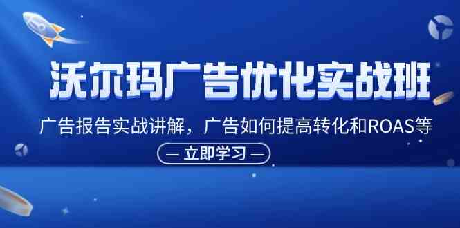 沃尔玛广告优化实战班，广告报告实战讲解，广告如何提高转化和ROAS等-网创项目