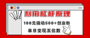 （11859期）利用杠杆100元撬动500+创业粉，单日变现5位数-网创项目