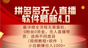 (11891期)拼多多无人直播软件最新4.0,最详细全流程无需露脸,0粉丝0资金, 小白…-网创项目