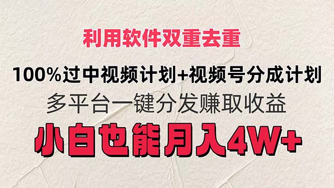 （11862期）利用软件双重去重，100%过中视频+视频号分成计划小白也可以月入4W+-网创项目