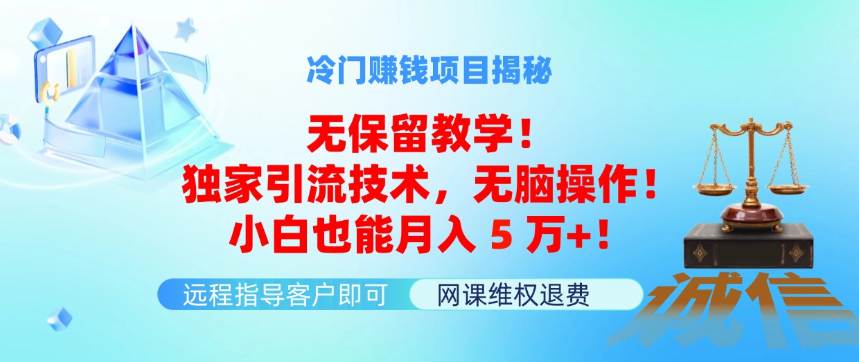 （11864期）冷门赚钱项目无保留教学！独家引流技术，无脑操作！小白也能月入5万+！-网创项目
