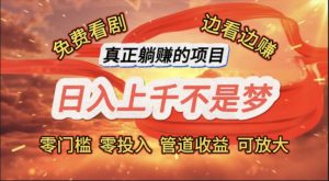 （11866期）免费看剧，边看边赚，日入上千不是梦，一个真正的躺赚项目-网创项目